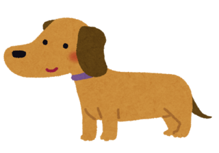 dog_miniature_dachshund.png